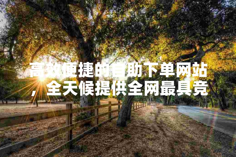 高效便捷的自助下单网站，全天候提供全网最具竞争力的低价服务。