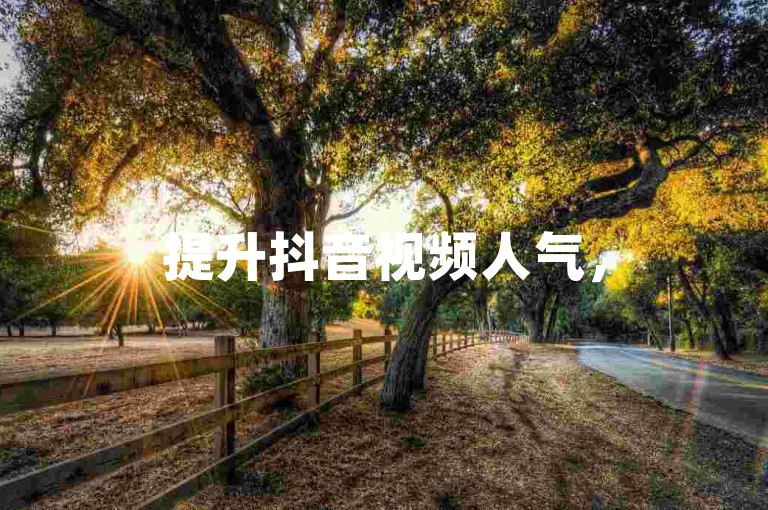 提升抖音视频人气，500赞助力内容曝光 - 自助点赞服务，轻松置顶评论。