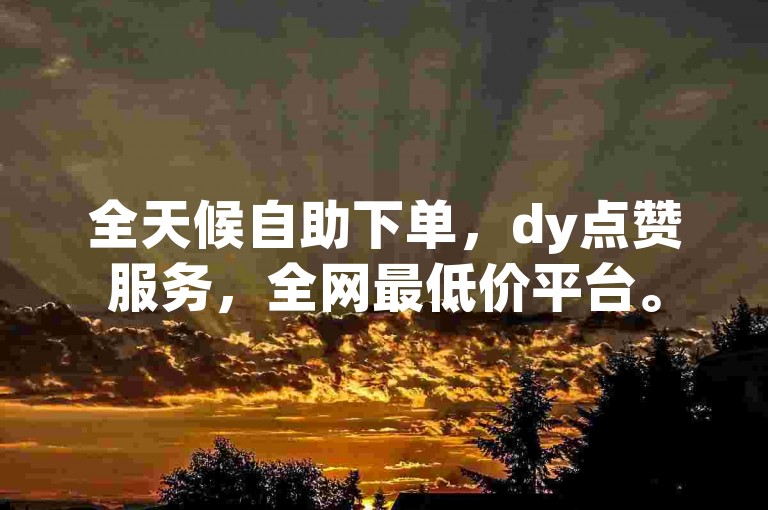 全天候自助下单，dy点赞服务，全网最低价平台。
