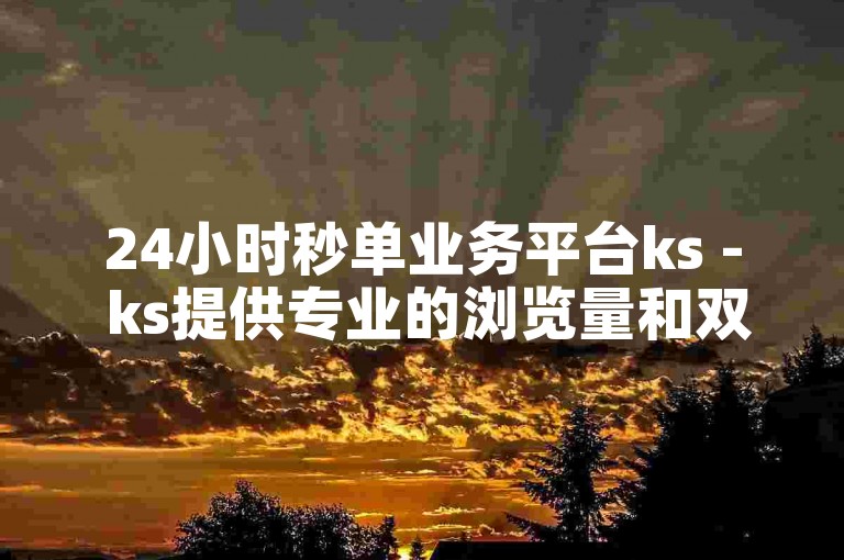 24小时秒单业务平台ks - ks提供专业的浏览量和双击量提升服务。
