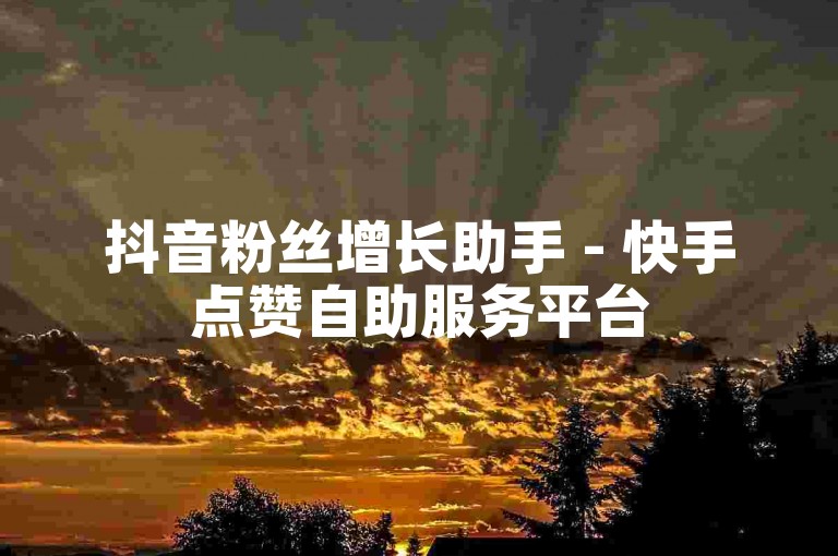 抖音粉丝增长助手 - 快手点赞自助服务平台