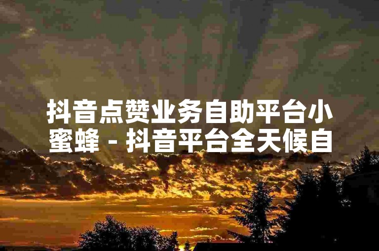 抖音点赞业务自助平台小蜜蜂 - 抖音平台全天候自助下单