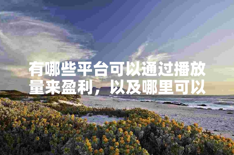 有哪些平台可以通过播放量来盈利，以及哪里可以买到僵尸粉？