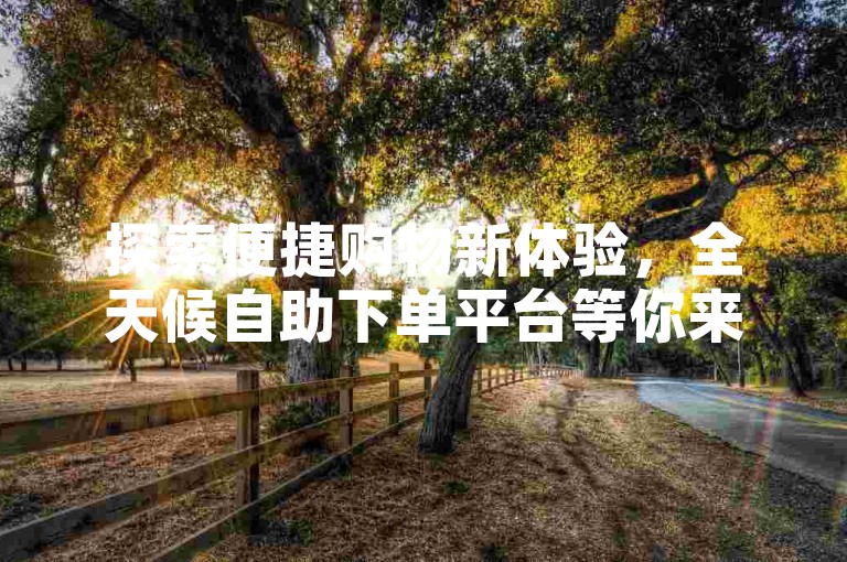 探索便捷购物新体验，全天候自助下单平台等你来发现。