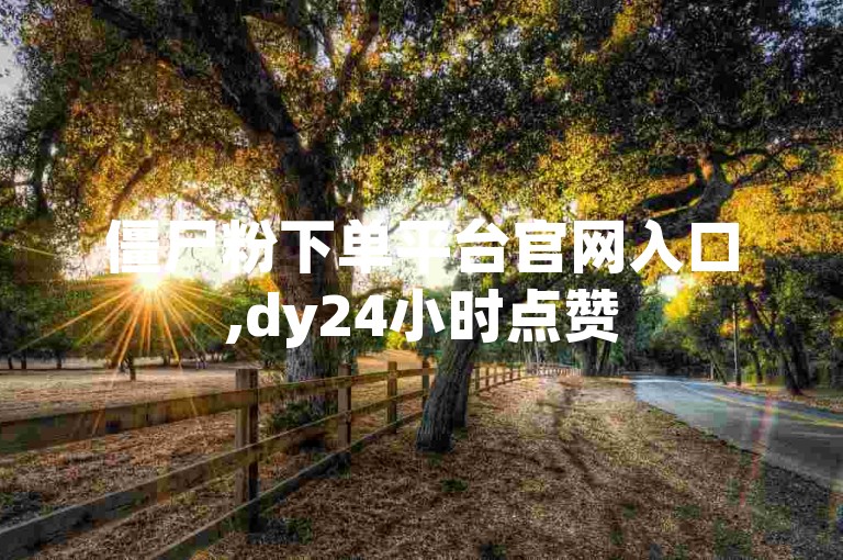 僵尸粉下单平台官网入口,dy24小时点赞