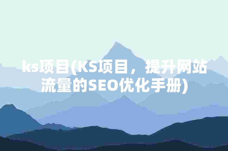 ks项目(KS项目，提升网站流量的SEO优化手册)