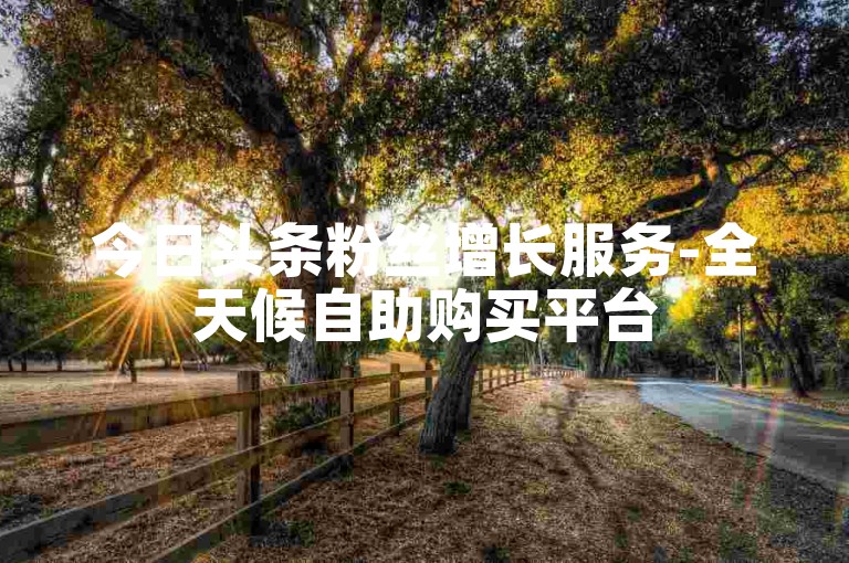 今日头条粉丝增长服务-全天候自助购买平台