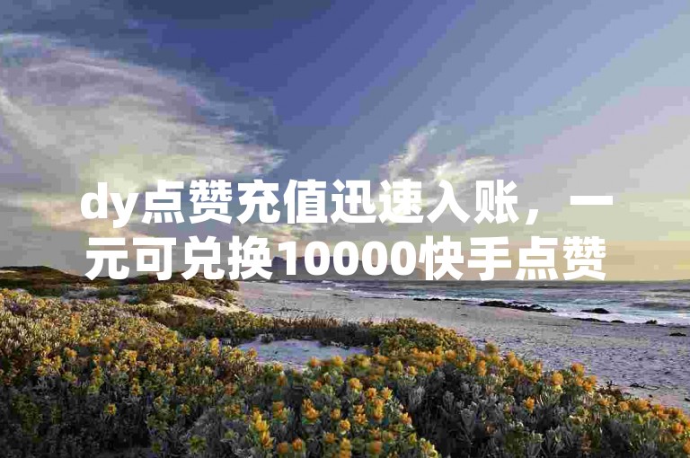 dy点赞充值迅速入账，一元可兑换10000快手点赞。