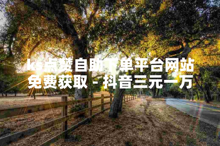 ks点赞自助下单平台网站免费获取 - 抖音三元一万粉