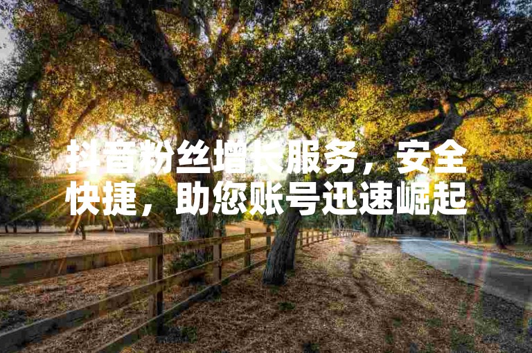 抖音粉丝增长服务，安全快捷，助您账号迅速崛起！