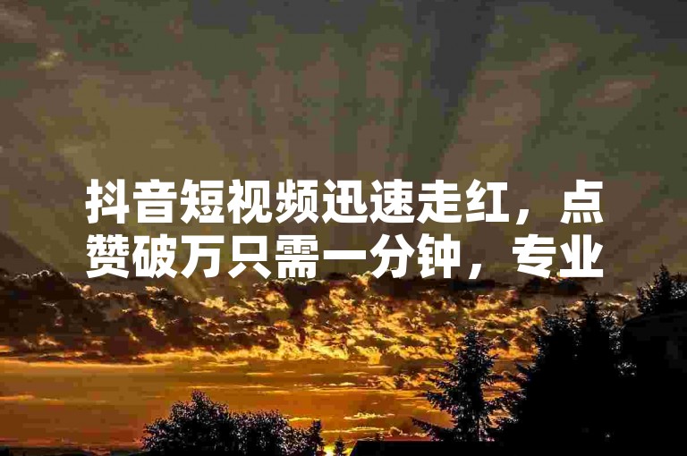 抖音短视频迅速走红，点赞破万只需一分钟，专业平台助你快速提升人气。