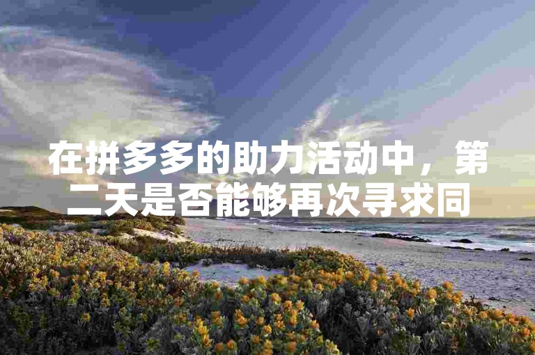 在拼多多的助力活动中，第二天是否能够再次寻求同一个人的帮助呢？