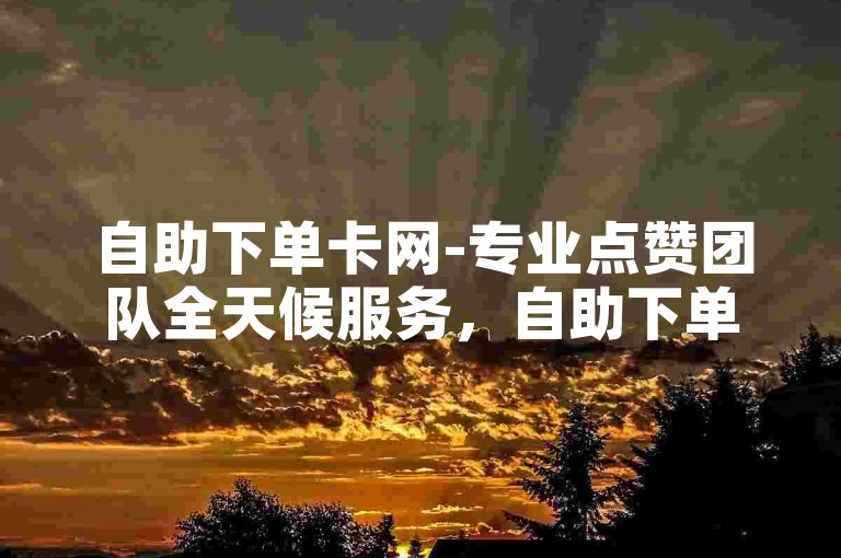 自助下单卡网-专业点赞团队全天候服务，自助下单卡网