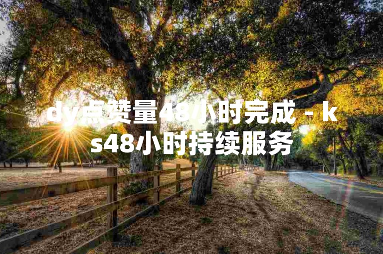 dy点赞量48小时完成 - ks48小时持续服务