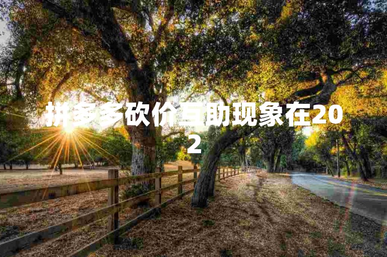 拼多多砍价互助现象在2025年有望继续引领社交电商新潮流，助力消费者享受更多实惠。