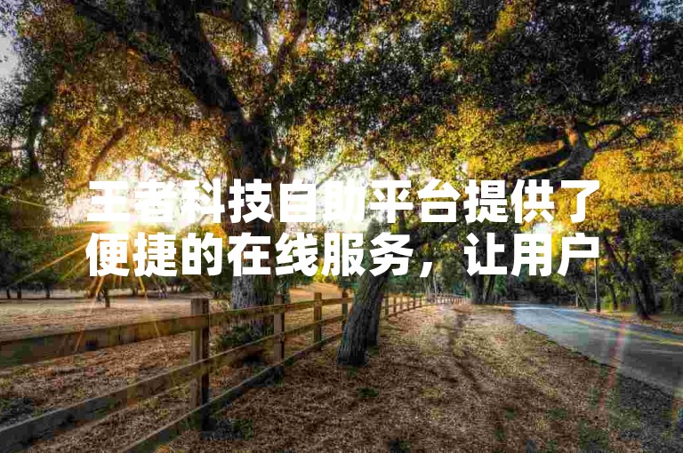 王者科技自助平台提供了便捷的在线服务，让用户能够轻松管理自己的账户和资源。