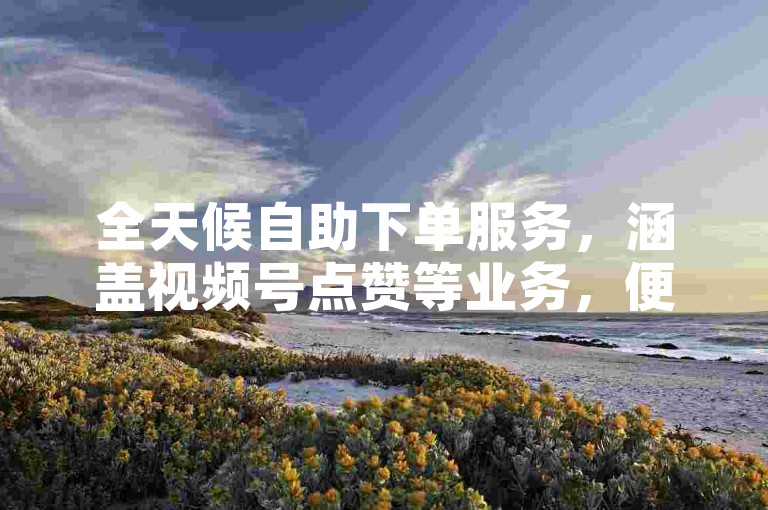 全天候自助下单服务，涵盖视频号点赞等业务，便捷高效。