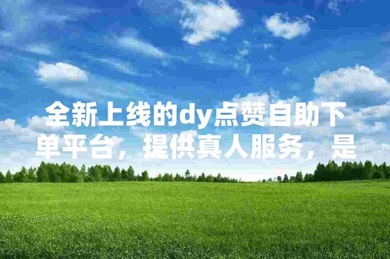 全新上线的dy点赞自助下单平台，提供真人服务，是网络自助下单的首选。