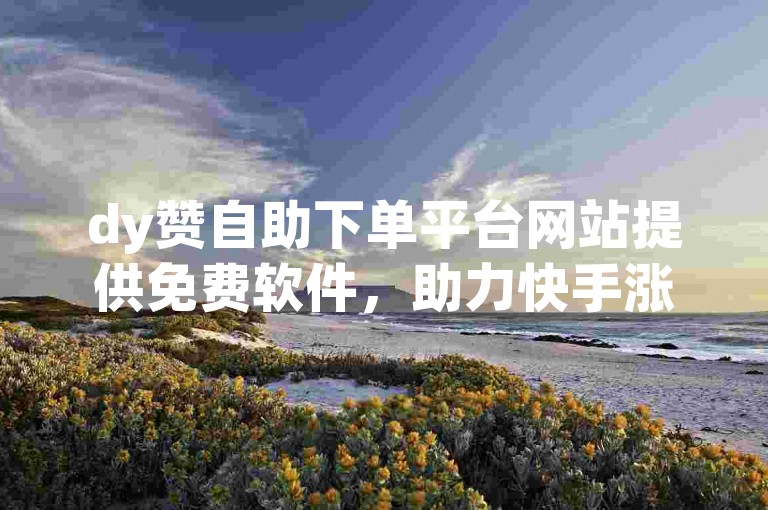 dy赞自助下单平台网站提供免费软件，助力快手涨赞、双击及置顶。