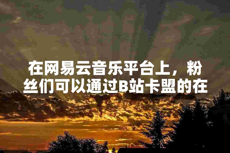 在网易云音乐平台上，粉丝们可以通过B站卡盟的在线自助服务轻松下单，享受便捷的购物体验。
