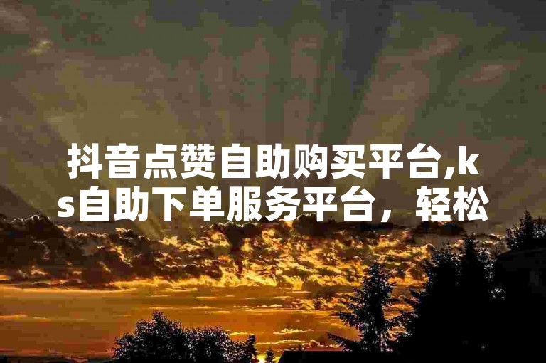 抖音点赞自助购买平台,ks自助下单服务平台，轻松提升您的社交影响力。