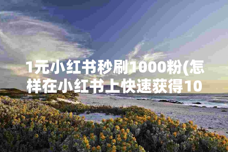 1元小红书秒刷1000粉(怎样在小红书上快速获得1000粉丝？)