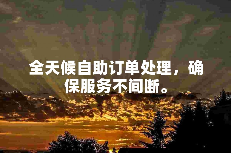 全天候自助订单处理，确保服务不间断。
