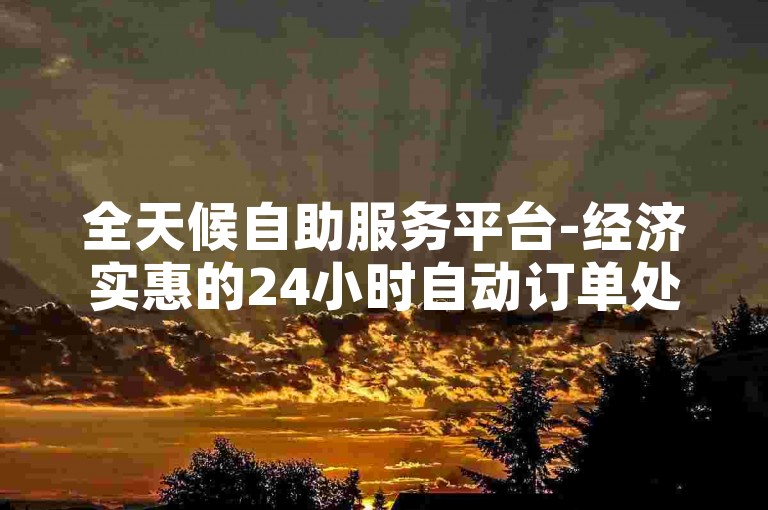 全天候自助服务平台-经济实惠的24小时自动订单处理系统下载