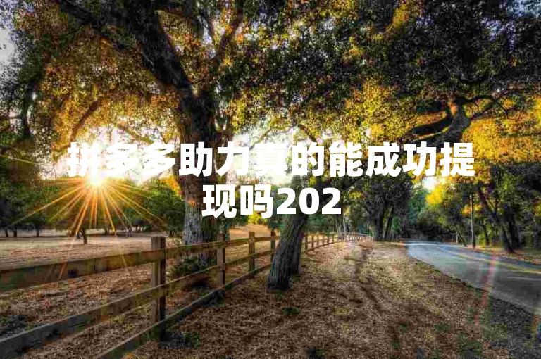 拼多多助力真的能成功提现吗2025【多多助力】