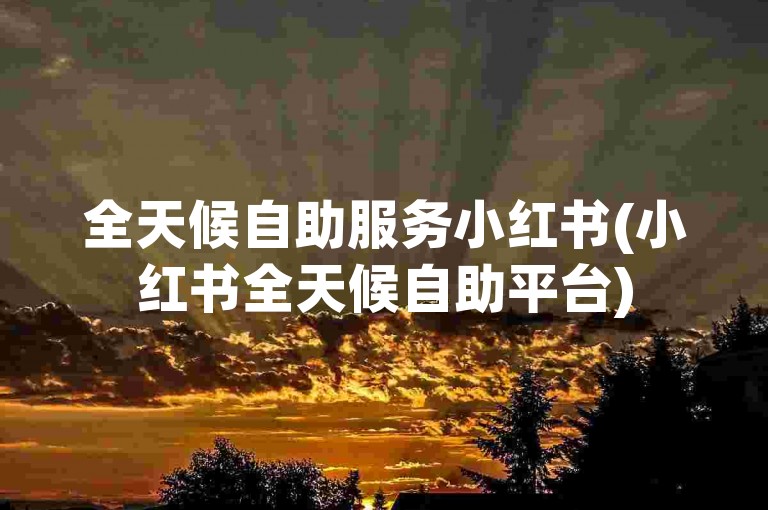 全天候自助服务小红书(小红书全天候自助平台)