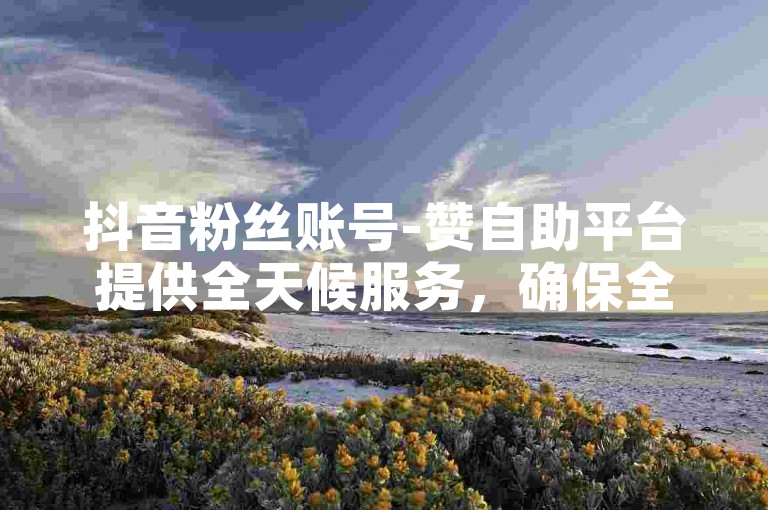 抖音粉丝账号-赞自助平台提供全天候服务，确保全网最低价格。