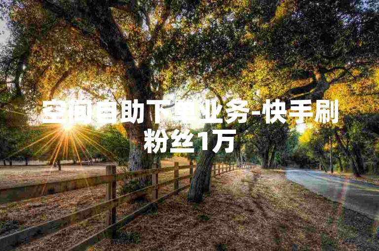空间自助下单业务-快手刷粉丝1万