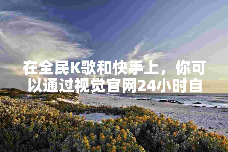 在全民K歌和快手上，你可以通过视觉官网24小时自动发卡网以1元100点赞的优惠价格提升你的视频人气。