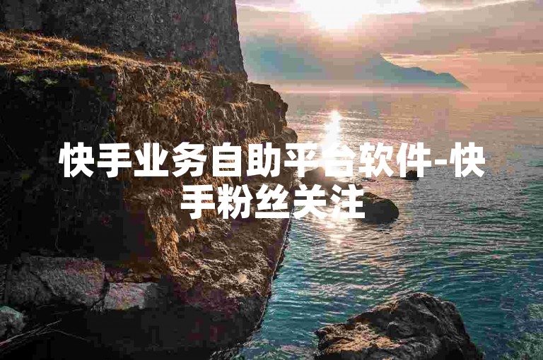 快手业务自助平台软件-快手粉丝关注