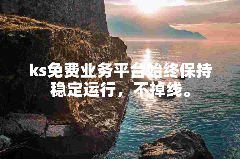 ks免费业务平台始终保持稳定运行，不掉线。