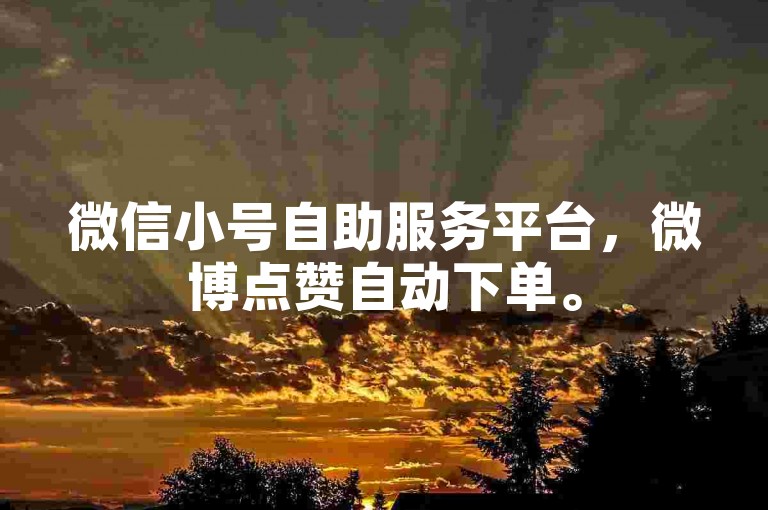 微信小号自助服务平台，微博点赞自动下单。
