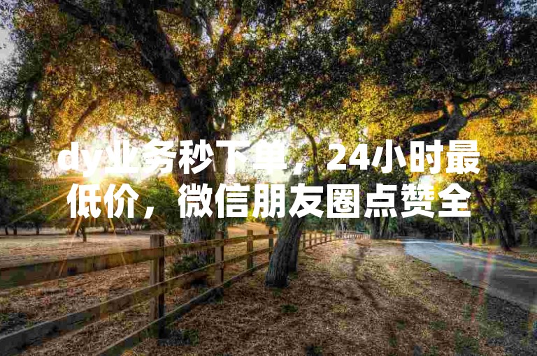 dy业务秒下单，24小时最低价，微信朋友圈点赞全网领先平台。