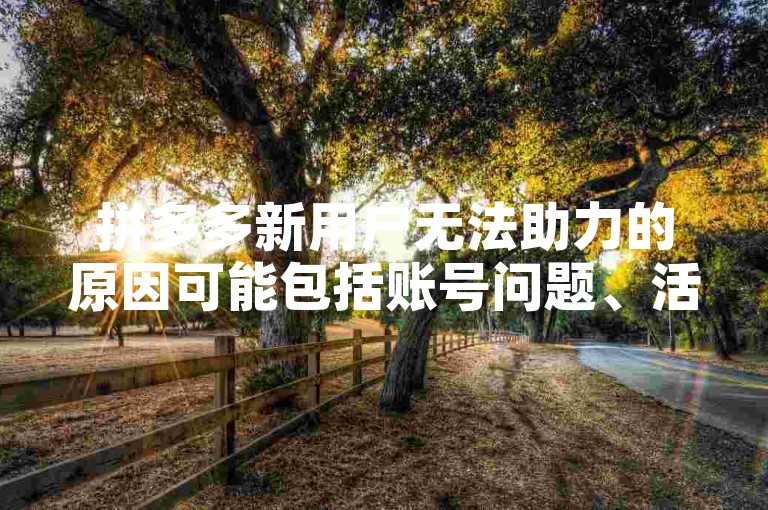 拼多多新用户无法助力的原因可能包括账号问题、活动规则限制或技术故障，具体详情可通过官方渠道查询。