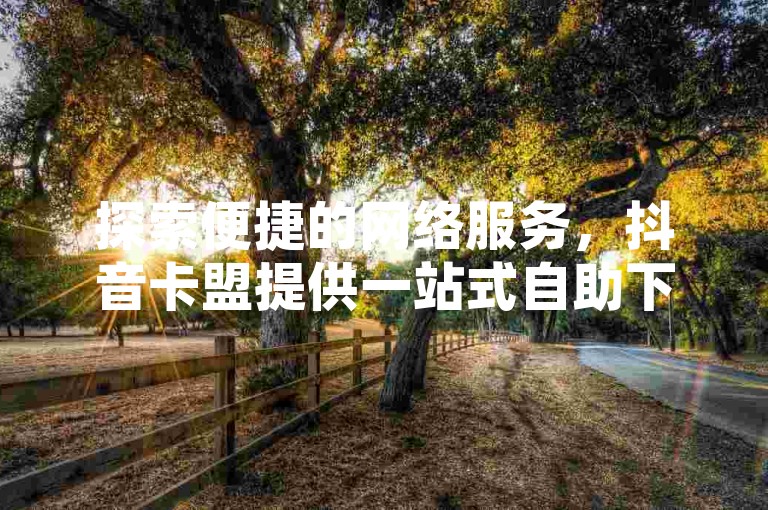 探索便捷的网络服务，抖音卡盟提供一站式自助下单体验。