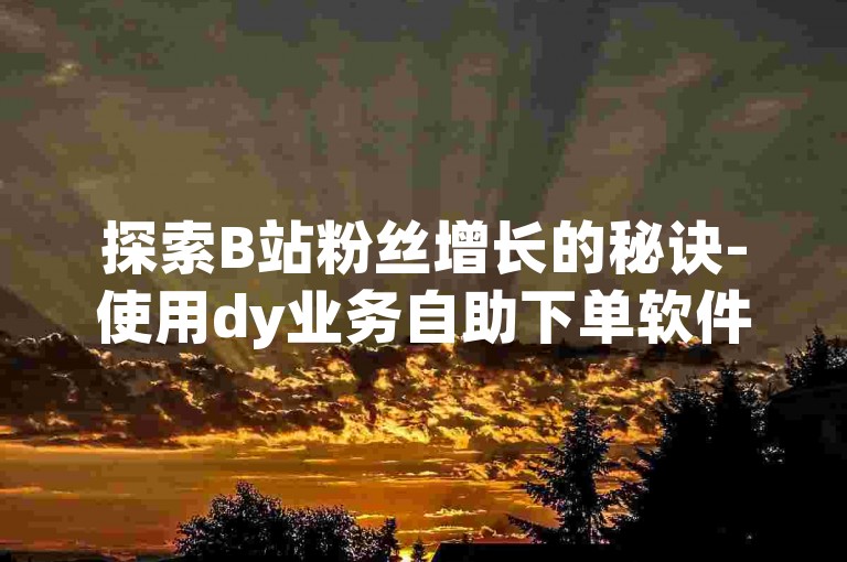 探索B站粉丝增长的秘诀-使用dy业务自助下单软件，轻松获得更多赞。