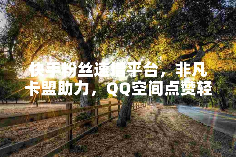 快手粉丝速增平台，非凡卡盟助力，QQ空间点赞轻松购，24小时快手下单无忧。