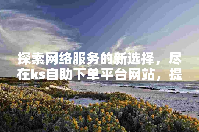 探索网络服务的新选择，尽在ks自助下单平台网站，提供经济实惠的QQ业务解决方案。