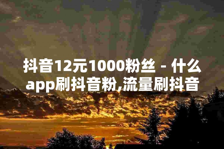 抖音12元1000粉丝 - 什么app刷抖音粉,流量刷抖音一天多少