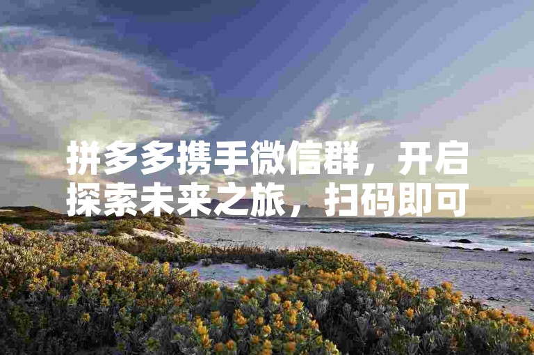 拼多多携手微信群，开启探索未来之旅，扫码即可免费加入，共享新机遇。
