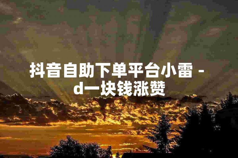 抖音自助下单平台小雷 - d一块钱涨赞