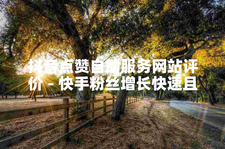 抖音点赞自助服务网站评价 - 快手粉丝增长快速且经济的平台。