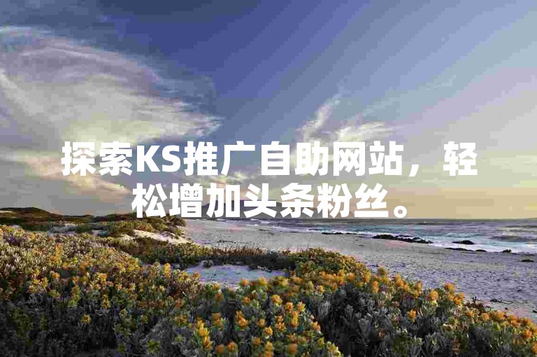 探索KS推广自助网站，轻松增加头条粉丝。