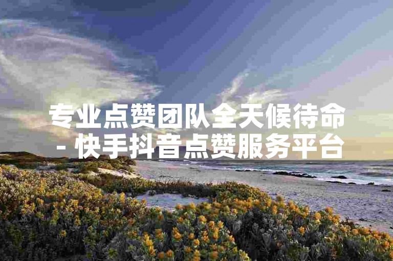 专业点赞团队全天候待命 - 快手抖音点赞服务平台