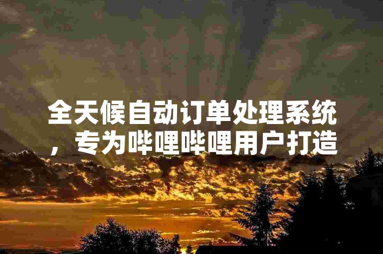 全天候自动订单处理系统，专为哔哩哔哩用户打造的便捷服务平台。