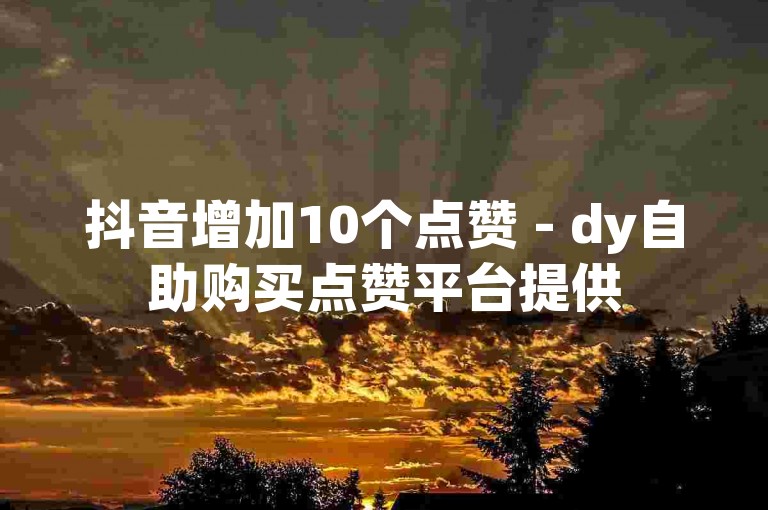 抖音增加10个点赞 - dy自助购买点赞平台提供50次服务。